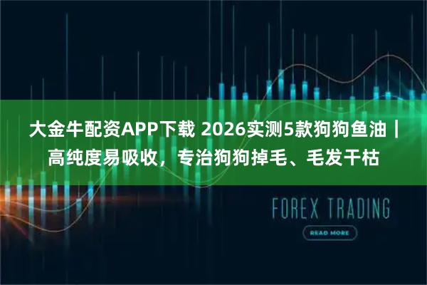 大金牛配资APP下载 2026实测5款狗狗鱼油｜高纯度易吸收，专治狗狗掉毛、毛发干枯