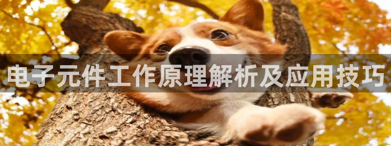 电子元件工作原理解析及应用技巧