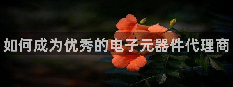 如何成为优秀的电子元器件代理商