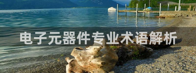 电子元器件专业术语解析