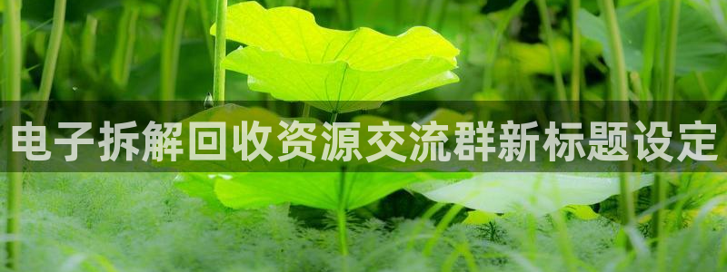 电子拆解回收资源交流群新标题设定
