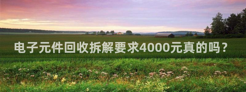 电子元件回收拆解要求4000元真的吗？