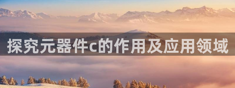 探究元器件c的作用及应用领域