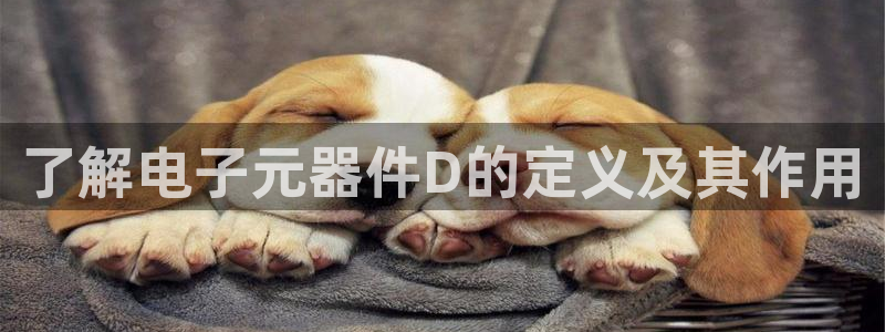 了解电子元器件D的定义及其作用
