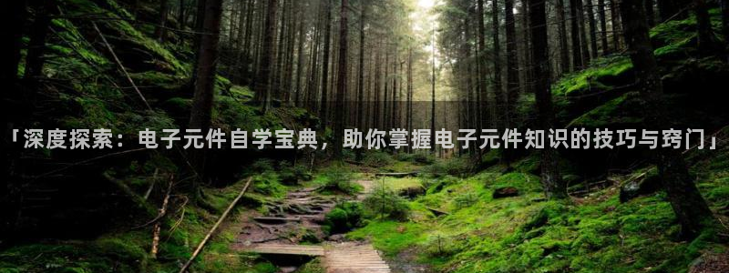 「深度探索：电子元件自学宝典，助你掌握电子元件知识的技巧与窍门」