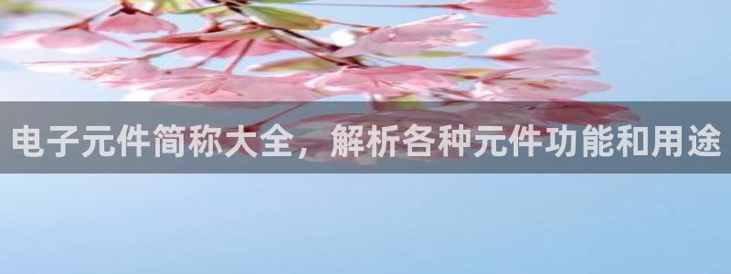 电子元件简称大全，解析各种元件功能和用途