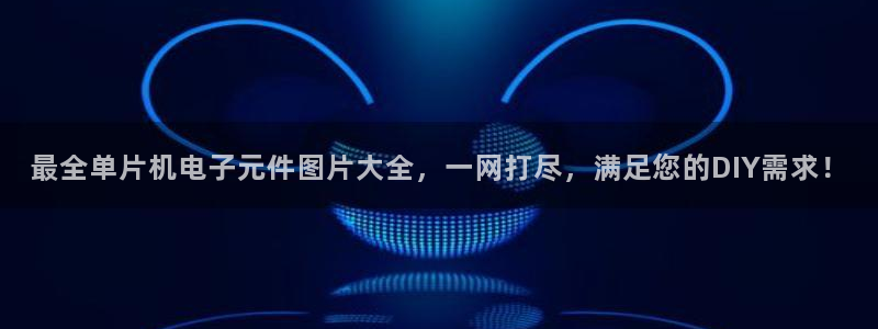 最全单片机电子元件图片大全，一网打尽，满足您的DIY需求！