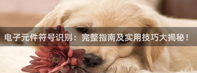 电子元件符号识别：完整指南及实用技巧大揭秘！