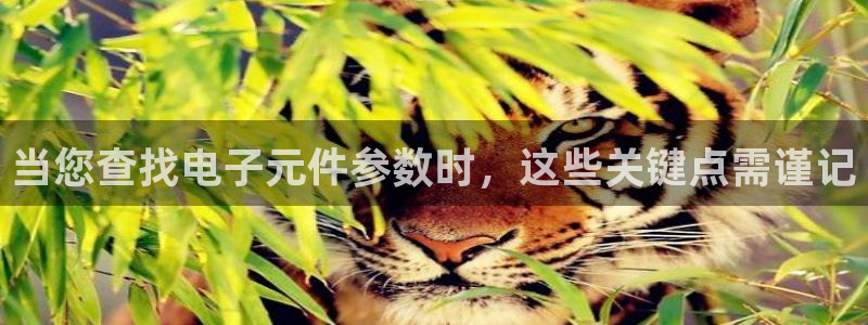 pg电子试玩消息