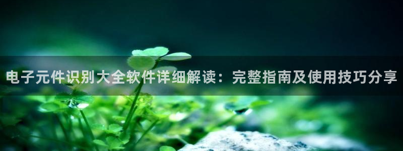 电子元件识别大全软件详细解读：完整指南及使用技巧分享