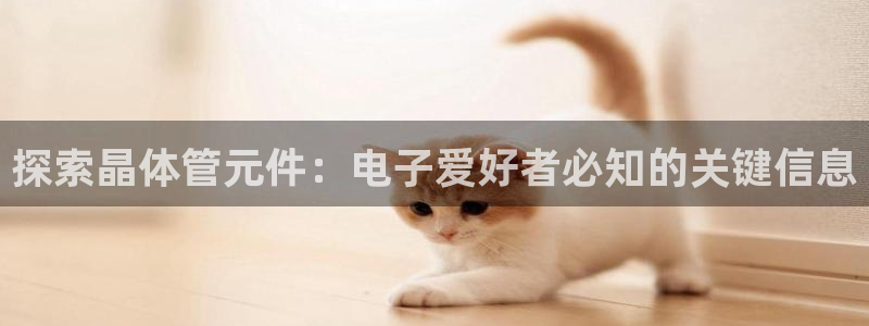 探索晶体管元件：电子爱好者必知的关键信息
