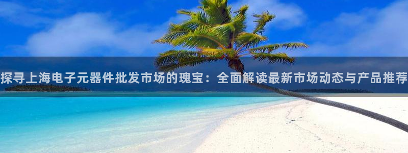 pg电子平台挺ly79丶cn：探寻上海电子元器件批发市场的瑰宝：全面解读最新市场