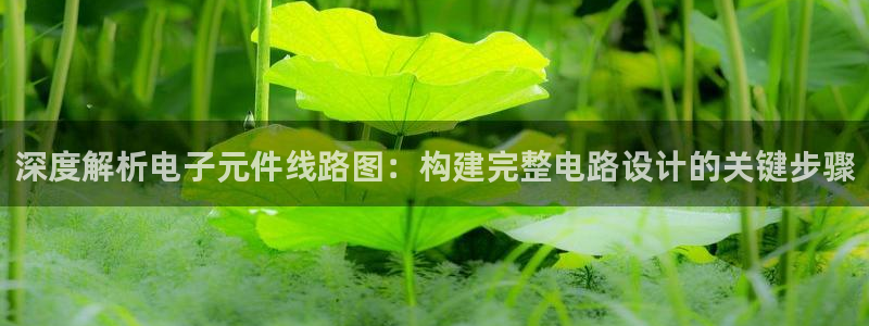 pg电子象财神软件：深度解析电子元件线路图：构建完整电路设计的关键步骤
