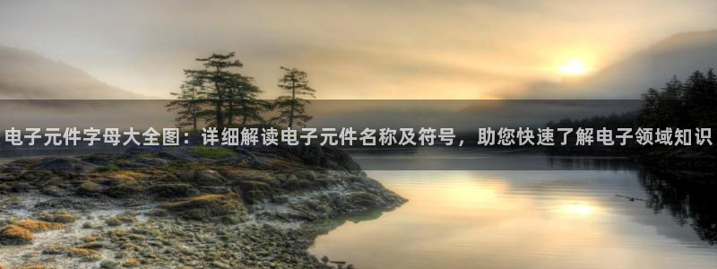 电子元件字母大全图：详细解读电子元件名称及符号，助您快速了解电子领域知识