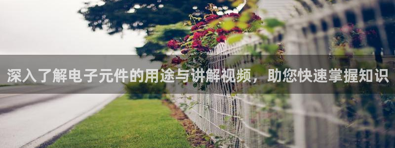 玩pg电子游戏哪个网站好一点：深入了解电子元件的用途与讲解视频，助您快速掌握知识