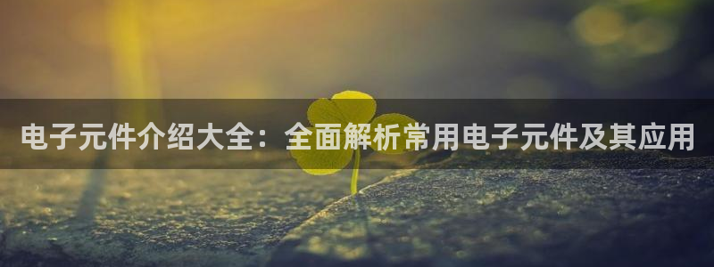 电子元件介绍大全：全面解析常用电子元件及其应用