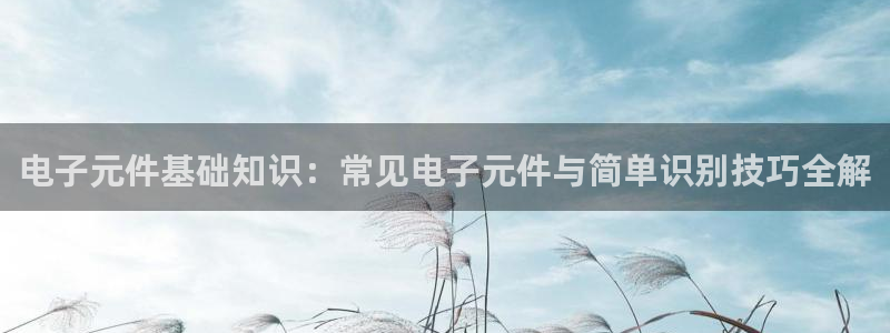 PG电子官方版fxzls -安卓3.5：电子元件基础知识：常见电子元件与简单识别