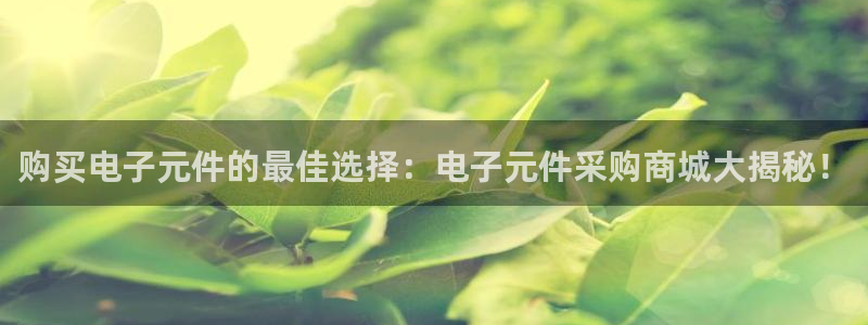 购买电子元件的最佳选择：电子元件采购商城大揭秘！