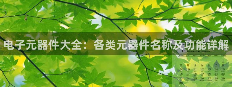 pg电子试玩消息：电子元器件大全：各类元器件名称及功能详解