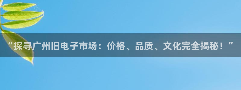 “探寻广州旧电子市场：价格、品质、文化完全揭秘！”