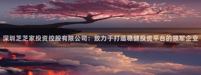 pg电子不开户试玩：深圳芝芝家投资控股有限公司：致力于打造稳健投资平台的领军企业