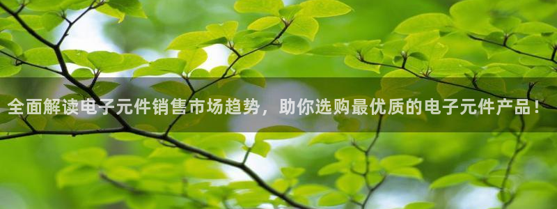 pg电子游戏辅助工具：全面解读电子元件销售市场趋势，助你选购最优质的电子元件产品