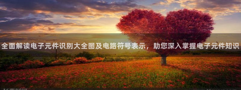 pg电子游戏大奖最新视频：全面解读电子元件识别大全图及电路符号表示，助您深入掌握