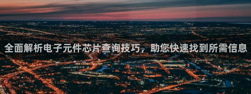 pg电子模拟器安卓版下载：全面解析电子元件芯片查询技巧，助您快速找到所需信息