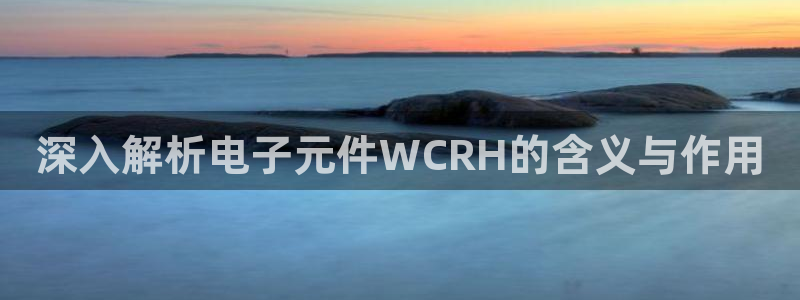 pg电子娱乐平台：深入解析电子元件WCRH的含义与作用