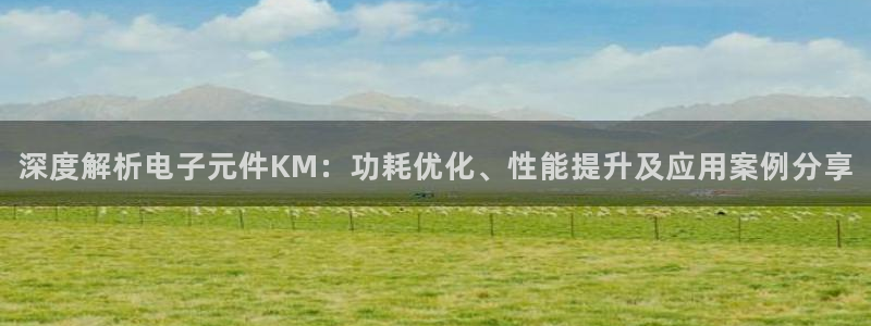 pg电子平台试玩体验：深度解析电子元件KM：功耗优化、性能提升及应用案例分享