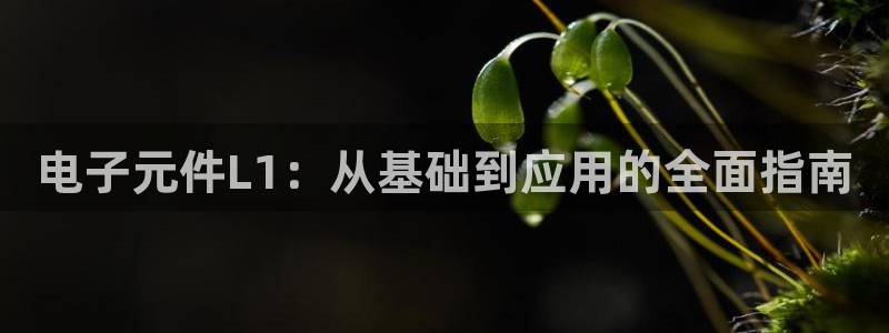 pg电子平台试玩多久可以下单：电子元件L1：从基础到应用的全面指南