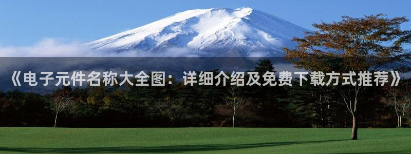 pg电子游戏哪个平台好打：《电子元件名称大全图：详细介绍及免费下载方式推荐》