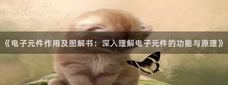 pg电子游戏软件哪个好用：《电子元件作用及图解书：深入理解电子元件的功能与原理》