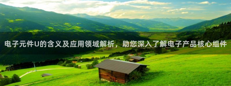 pg电子平台网址游戏大全：电子元件U的含义及应用领域解析，助您深入了解电子产品核