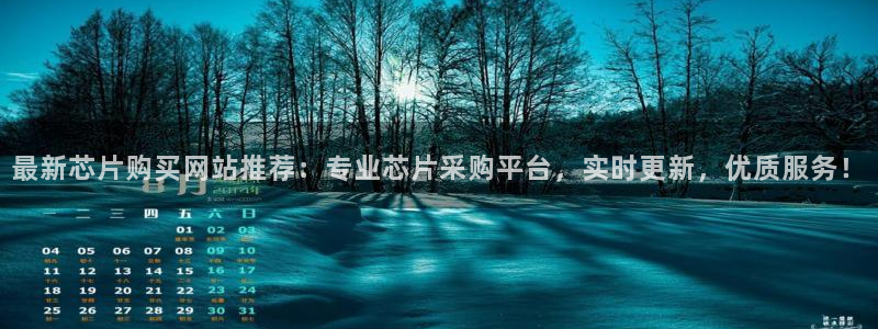 pg电子棋牌有哪些平台可以玩的：最新芯片购买网站推荐：专业芯片采购平台，实时更新