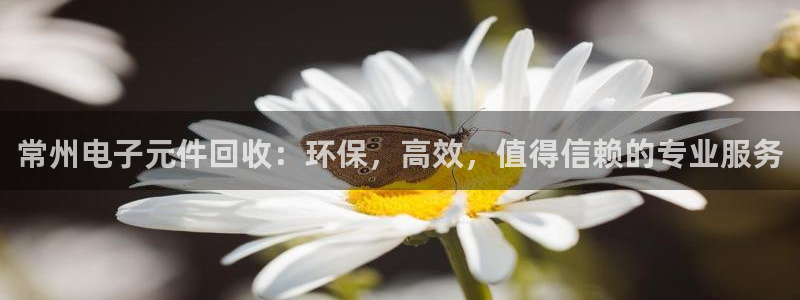 pg模拟器在线试玩：常州电子元件回收：环保，高效，值得信赖的专业服务