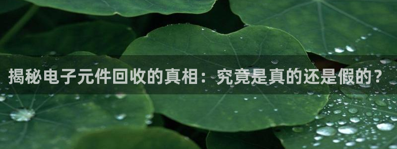 pg电子游戏公司怎么样：揭秘电子元件回收的真相：究竟是真的还是假的？