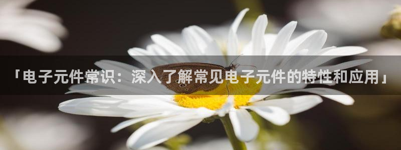 PG麻将胡了2试玩网址