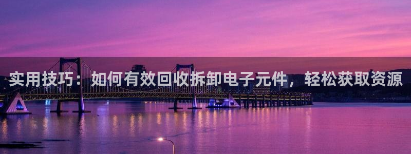 pg电子游戏试玩模拟器网站：实用技巧：如何有效回收拆卸电子元件，轻松获取资源
