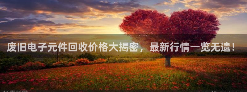 pg电子游戏辅助软件：废旧电子元件回收价格大揭密，最新行情一览无遗！