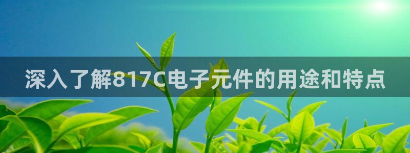 pg电子游戏哪个平台好打：深入了解817C电子元件的用途和特点