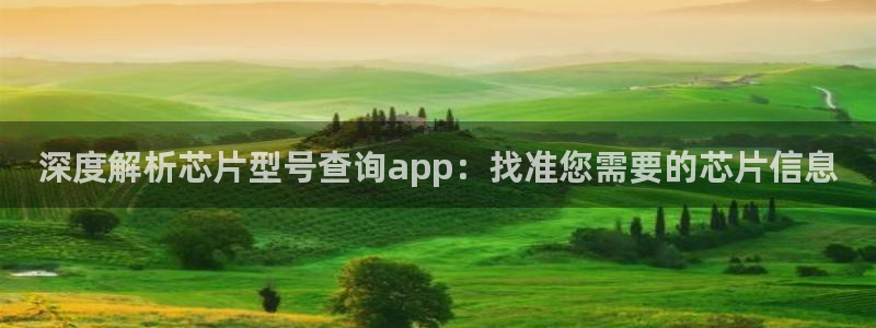 pg电子模拟器全系列：深度解析芯片型号查询app：找准您需要的芯片信息