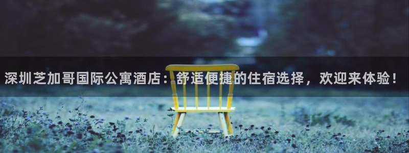 可以试玩的pg电子网站体验金：深圳芝加哥国际公寓酒店：舒适便捷的住宿选择，欢迎来