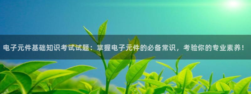 PG电子开元国际：电子元件基础知识考试试题：掌握电子元件的必备常识，考验你的专业