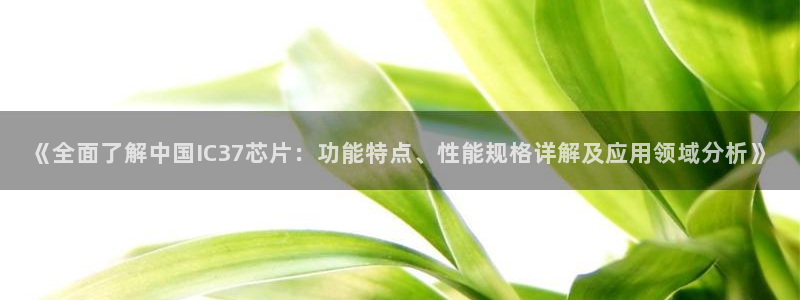 pg电子游戏模拟器在线试玩网站