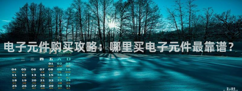 可以试玩pg电子的网站：电子元件购买攻略：哪里买电子元件最靠谱？