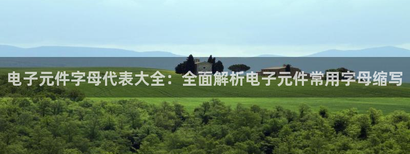 PG电子游戏辅助器：电子元件字母代表大全：全面解析电子元件常用字母缩写