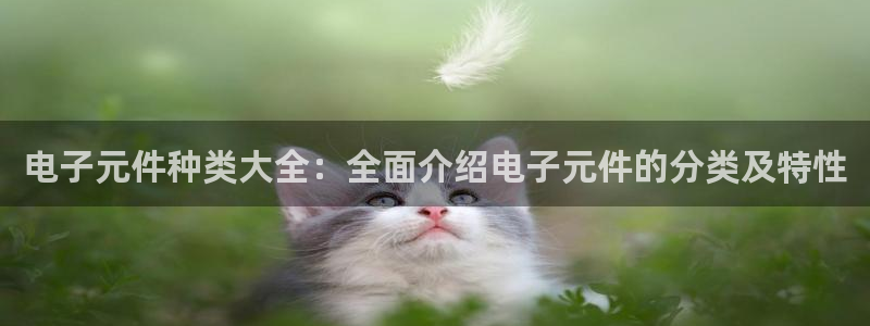 pg电子麻将胡了音乐在线观看：电子元件种类大全：全面介绍电子元件的分类及特性