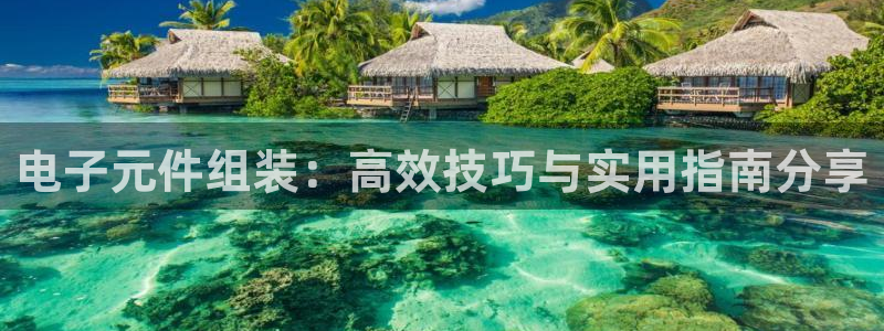 pg电子龙虎平台：电子元件组装：高效技巧与实用指南分享