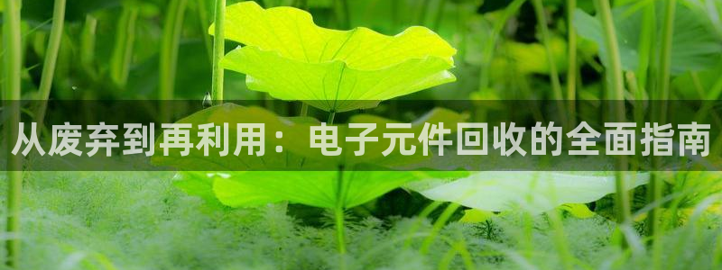 pg电子在哪里可以玩：从废弃到再利用：电子元件回收的全面指南